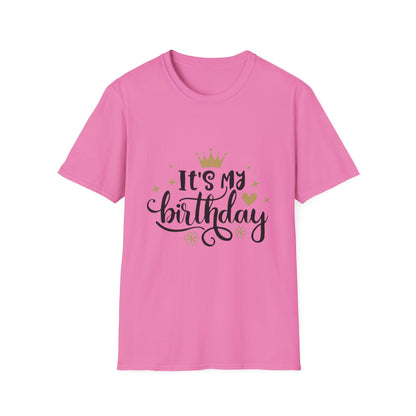 Birthday Celebration T-Shirt, Fun Birthday Tee, Unisex Gift, Party Wear, Special Occasion Shirt