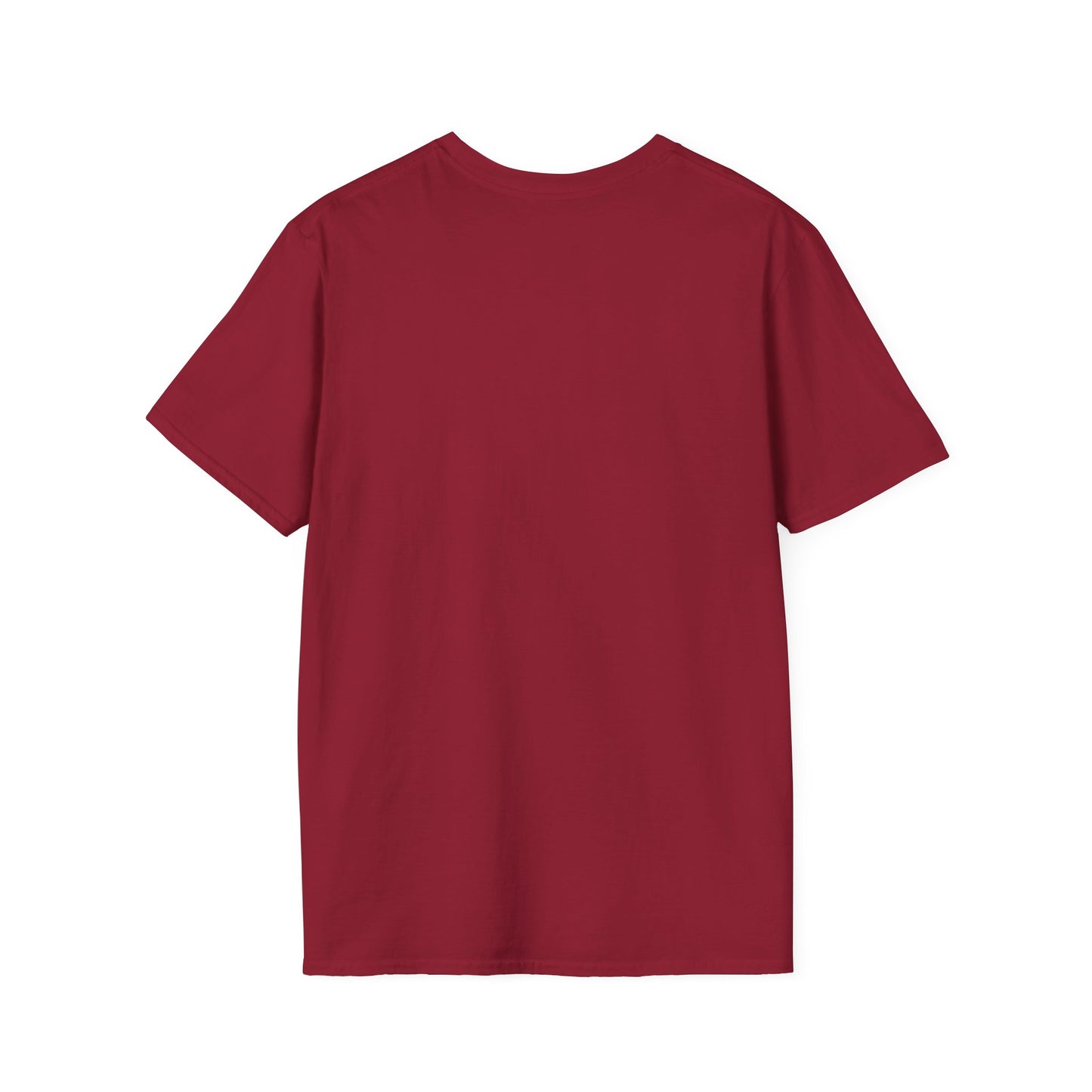 Birthday Celebration T-Shirt, Fun Birthday Tee, Unisex Gift, Party Wear, Special Occasion Shirt