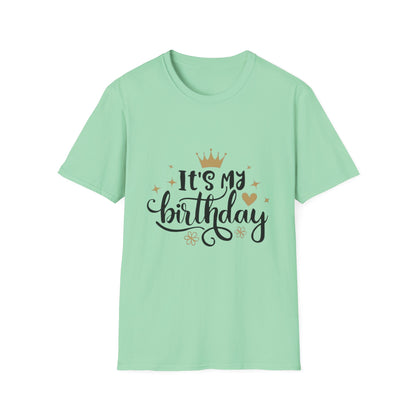 Birthday Celebration T-Shirt, Fun Birthday Tee, Unisex Gift, Party Wear, Special Occasion Shirt