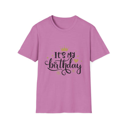 Birthday Celebration T-Shirt, Fun Birthday Tee, Unisex Gift, Party Wear, Special Occasion Shirt